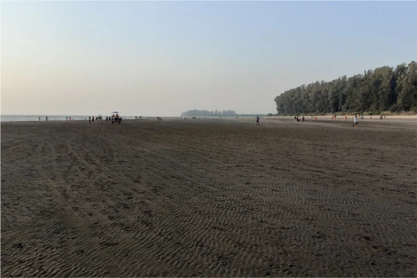 District - Palghar